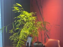 -蘇锦宴·淮扬菜烤鸭·小院(三元桥霄云路店)
