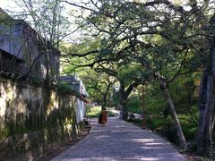 -普陀山慧济禅寺