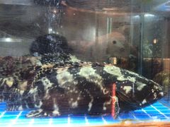 -ONE FULL 古董港式海鲜火锅