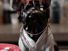 -BE NORMAL CAFE(霞溪路店)