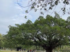 -东莞植物园