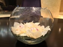 -上海中航虹桥机场泊悦酒店