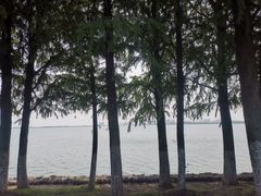 -重元寺香积厨素斋馆