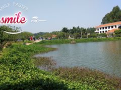 -南国桃园旅游度假区