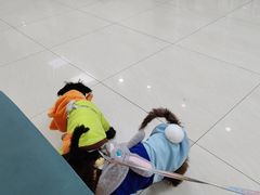 -美联众合动物医院·24h京西诊疗中心