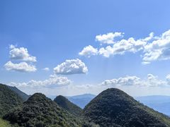 -武陵山森林公园