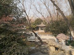 -莲湖公园