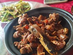 -柘林湖生态鱼馆