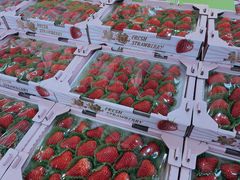 -果蔬好生活超市(新荟城店)