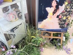 -海马体照相馆(上海月星环球港店)