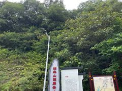 -黄埔油麻山森林公园