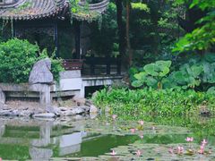 -深圳国际园林花卉博览园