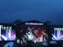 -黄海国家森林公园