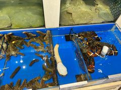 -新洪记·丽久饭店(铁西店)