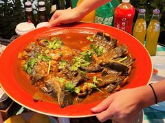 -向外鱼乐·土菜·虹鳟鱼