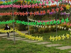 -紫颐香薰山谷景区