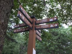 -洛阳白云山景区