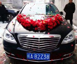 -蚂蚁婚车