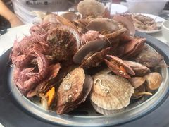 扇贝-同道蒸汽海鲜烧烤自助(刘庄夜市店)