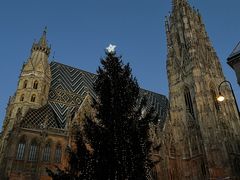 -斯蒂芬主教座堂(Stephansdom)