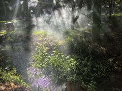 -玉女潭景区