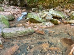 -五女峰国家森林公园