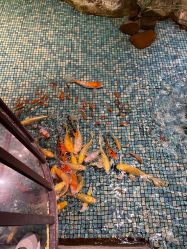 -酷嗒动物文化乐园(cutezoo西溪乐天城店)