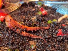 -卡朋西餐(宝安大仟里店)