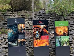 -怀托摩萤火虫洞