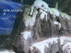 -海合安武汉极地海洋公园