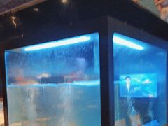 -九洲喜来登酒店湖月日餐厅