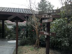-杭州第一世界大酒店·云曼温泉