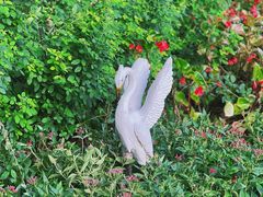 -福田红树林生态公园