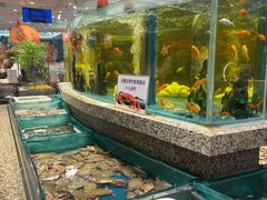 -初色海鲜自助(万丰路店)
