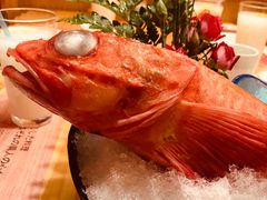 野生冰鲜金吉鱼-鲔屋寿喜烧