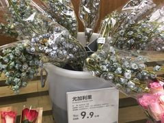 -鹿岛会员店 (龙湖三千集天街店)