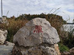 -东湖落雁景区