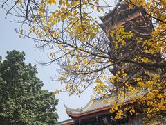 -塔子山公园
