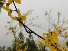 -北京凤凰岭