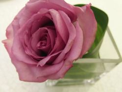 -佳丽海鲜大酒楼·宴会厅(蔡塘店)