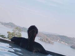 -天目湖涵田半山温泉水乐园
