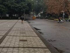 -四川大学(望江校区)