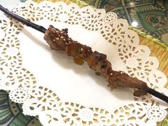 红柳烤串-新疆红柳花餐厅(新洲店)