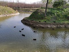 -东郊湿地公园
