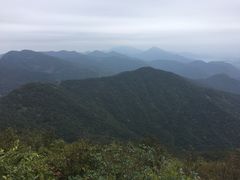 -清溪森林公园
