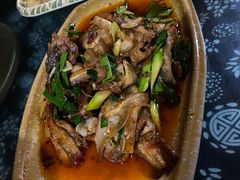 -青城甲(青城山店)