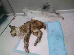 iphone_upload_pic-盛京一禾