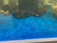 -哈尔信阳光农园超市(沈阳三台子万象汇店)