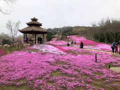 -棒棰岛宾馆景区