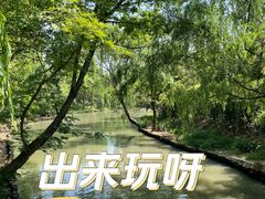 -同里国家湿地公园
